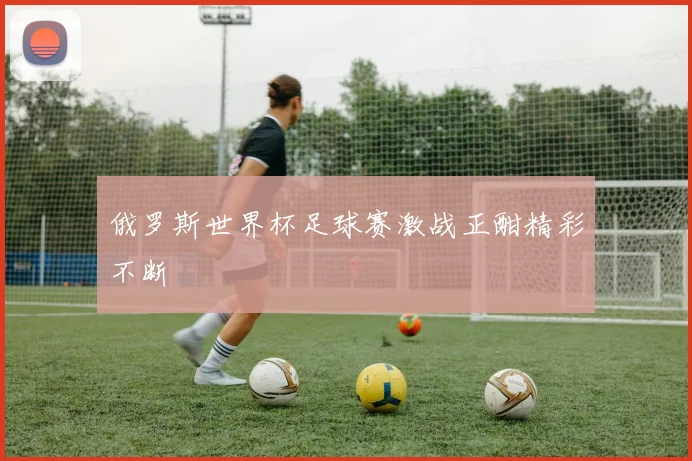 俄罗斯世界杯足球赛激战正酣精彩不断