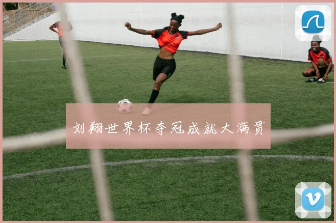 刘翔世界杯夺冠成就大满贯