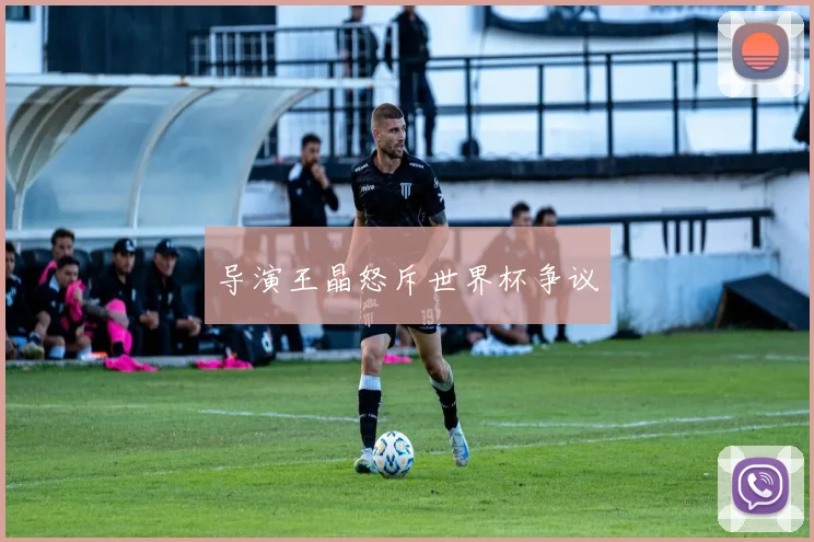 导演王晶怒斥世界杯争议
