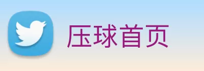 压球首页 Logo